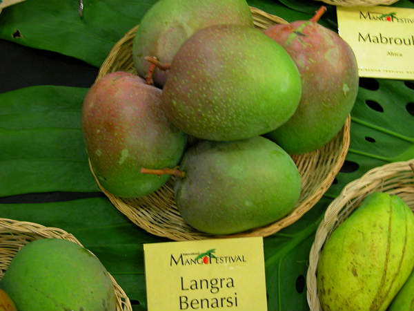 https://www.blogarts.in/wp-content/uploads/2020/04/04-1493872536-langra-mango1.jpg