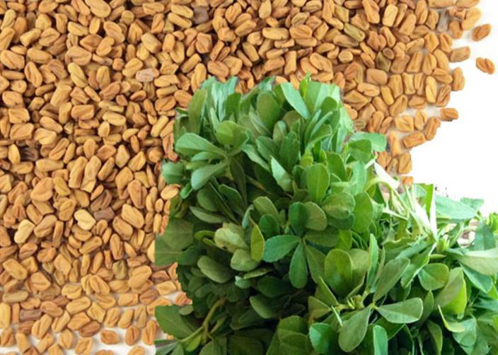 400-methi-kasuri-seeds-allthatgrows-original-imaezz7vhz8zxjbd https://www.blogarts.in/wp-content/uploads/2020/04/400-methi-kasuri-seeds-allthatgrows-original-imaezz7vhz8zxjbd.jpeg