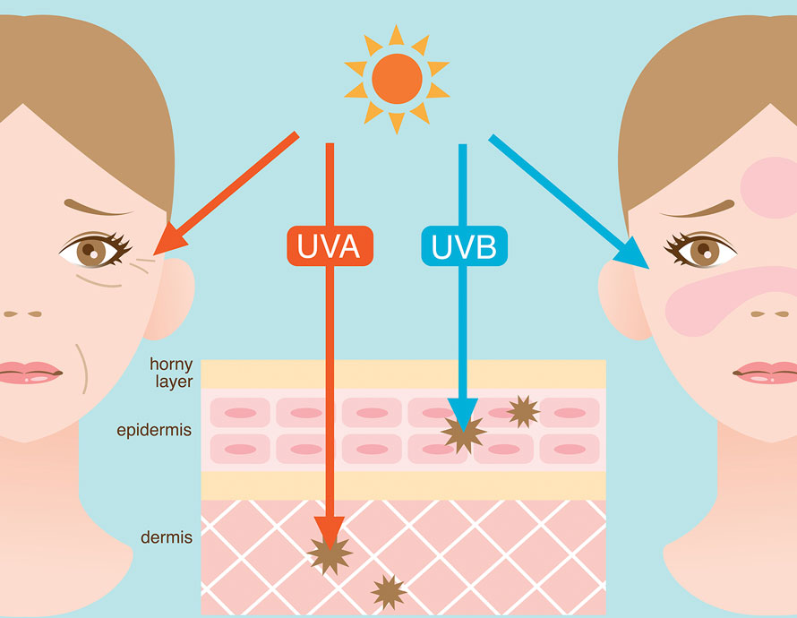 https://www.blogarts.in/wp-content/uploads/2020/05/diagram-of-ultraviolet-light-and-the-effects-ultraviolet-light-and-sunscreens-dermatology-institute-of-america.jpg